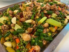 -铁山坪森林公园