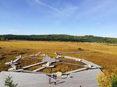 -塞罕坝国家级自然保护区