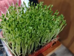 -番食园鲜食火锅(高新店)
