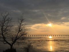 -宝安西湾红树林湿地公园