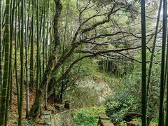 -莫干山风景区