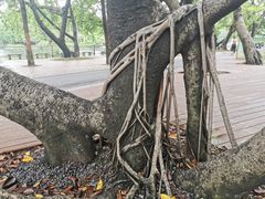 -三和美食(西华路店)