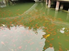 -龙潭水乡