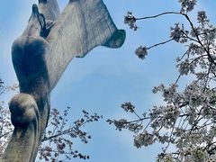 -武汉大学-樱园