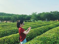 -凤凰沟景区