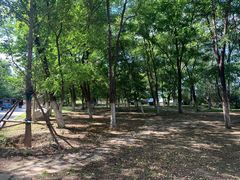 -长白岛森林公园