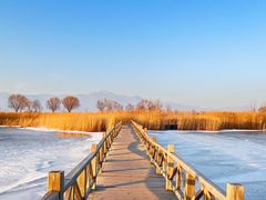 -野鸭湖国家湿地公园