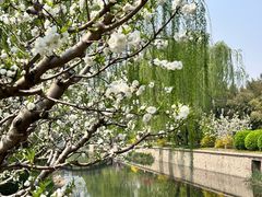 -元大都城垣遗址公园