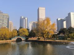 -中央公园(苏州工业园区)