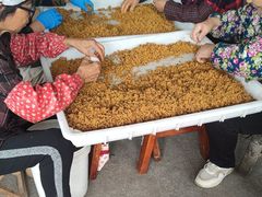 -苏州市吴中区光福窑上花果蜜饯厂