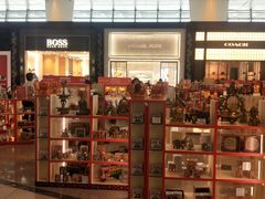 -英迪拉·甘地国际机场