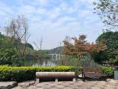 -重庆园博园