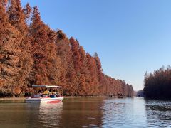 -上海海湾国家森林公园