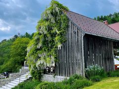 -波斯托伊纳溶洞