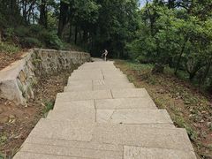 -黄埔油麻山森林公园