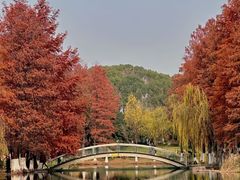 -鄞州公园南门停车场