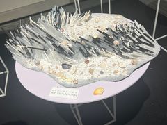 -上海油画雕塑院