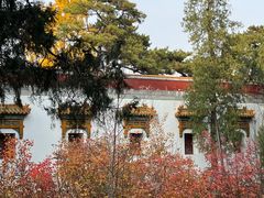 -香山公园