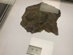 -大同煤炭博物馆