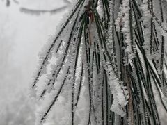 -终南山国家森林公园