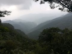 -牛背梁国家森林公园