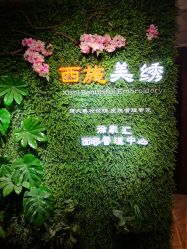 -西施无菌半永久纹绣眉眼影唇轻增发纹发际线