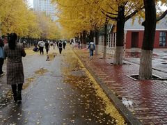 -辽宁大学(崇山校区)
