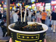 -武爹臭豆腐(坡子街店)