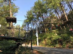 -梦幻奥陶纪景区