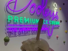 -Dooley's Premium Ice Cream
