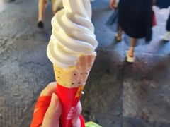 -蜜雪冰城(大智路店)