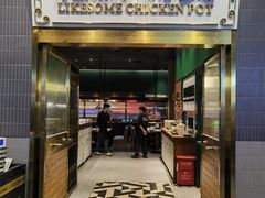 -禄婶鸡煲·打边炉