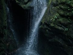 -牛背梁国家森林公园