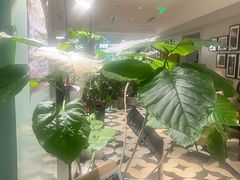 -一尺花园(安和花园店)