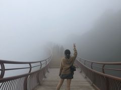 -少华山国家森林公园