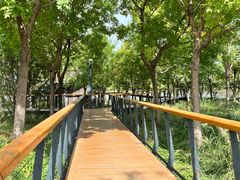-东郊湿地公园