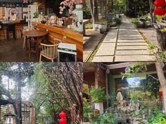 -谷咖啡·鲜花绿植花园餐厅