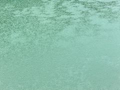 -羚羊峡古栈道森林公园