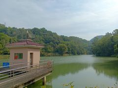 -中山市树木园