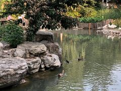 -头壹号饸饹面·大油条(东升科技园店)