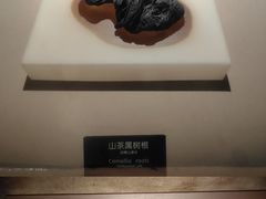 -河姆渡遗址博物馆