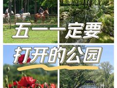-上海共青森林公园