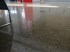 -香妃烤鸡(新奥店)