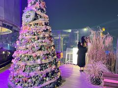 -Hi City·城市之巅