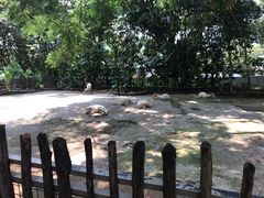 -深圳野生动物园