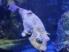 -太平洋海底世界