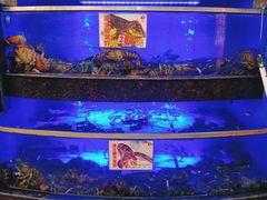 -鹅公村·国家非遗传承(荔湾店)
