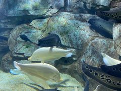 -泉城欧乐堡海洋极地世界