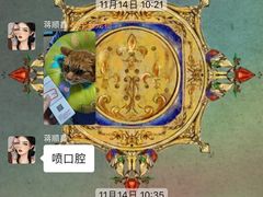 -半岛宠物医院24小时(科华中路店)