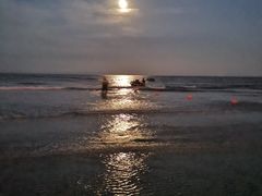 -日照海滨国家森林公园